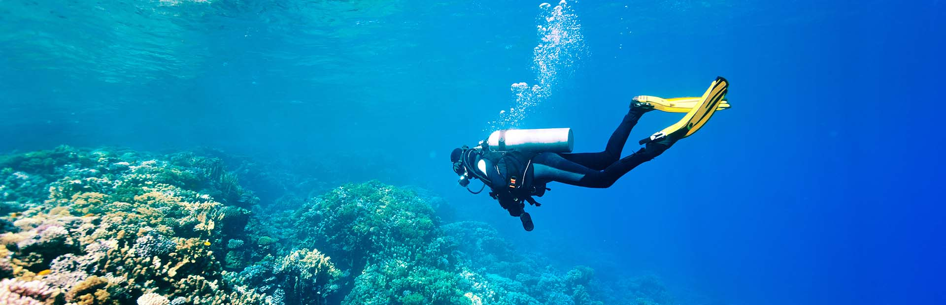 homepage diving suit